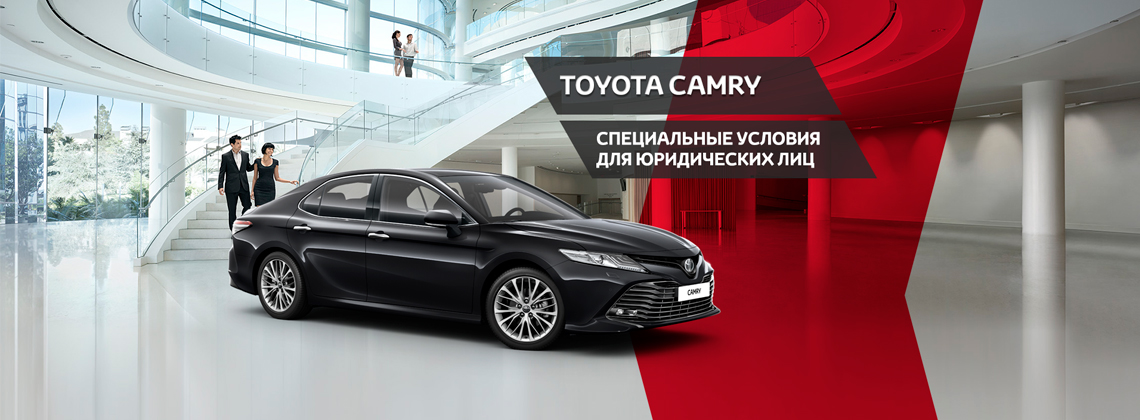 Специальные условия для юридических лиц