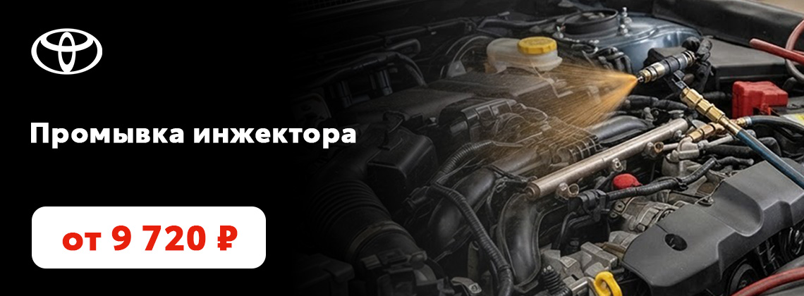 Промывка инжектора от 9 720 руб.
