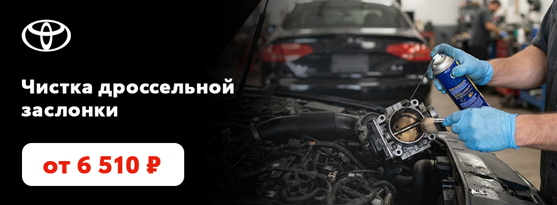Чистка дроссельной заслонки за 6 510 руб
