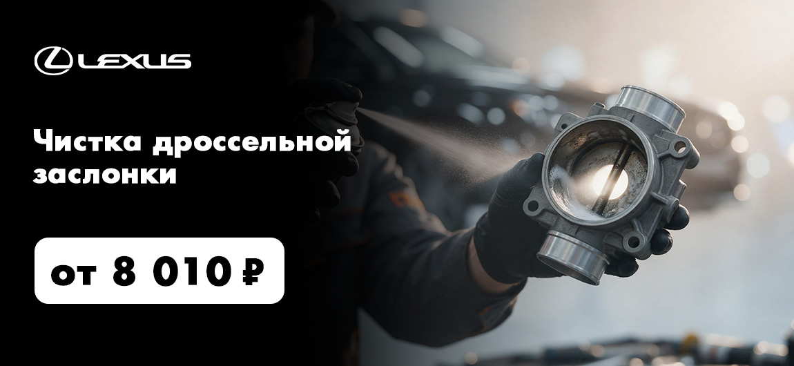Чистка дроссельной заслонки за 8 010 руб