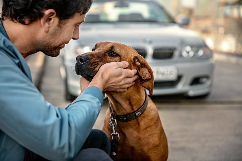 Преимущество стабильных отношений.