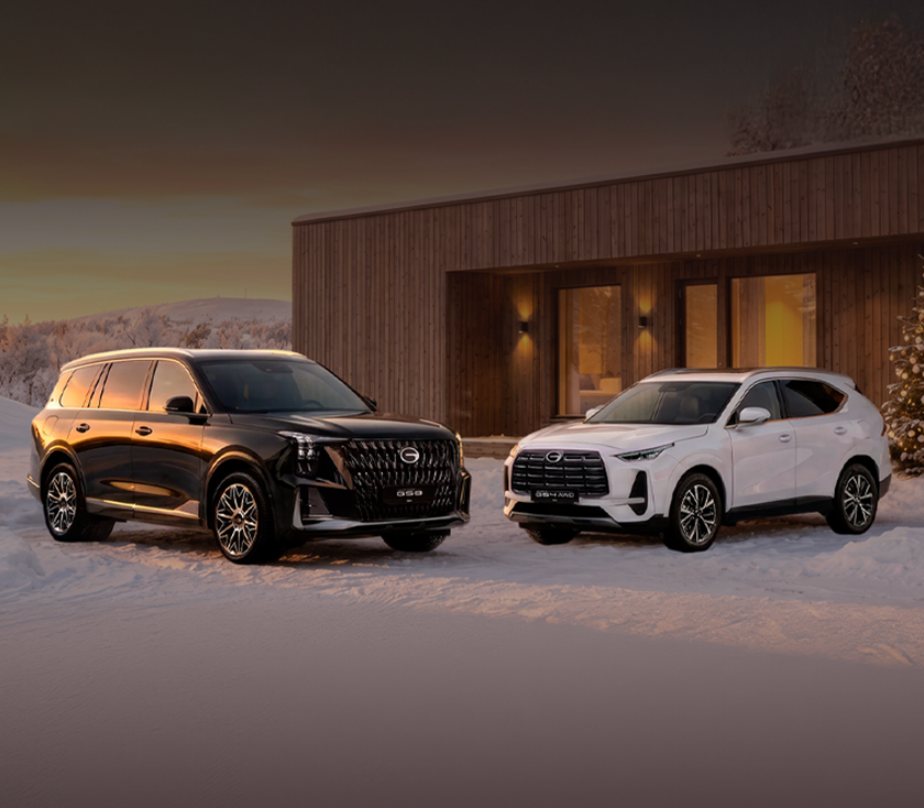 Специальные предложения в декабре