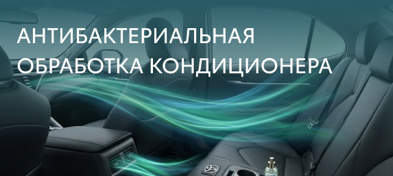 Специальная цена 95 BYN