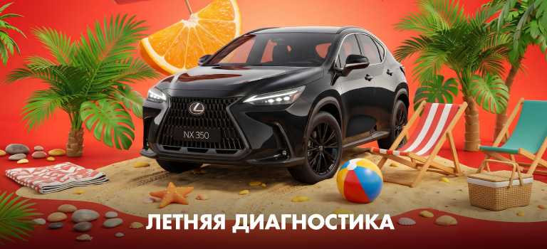ЛЕТНЯЯ ДИАГНОСТИКА