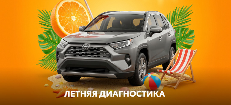 Летняя диагностика
