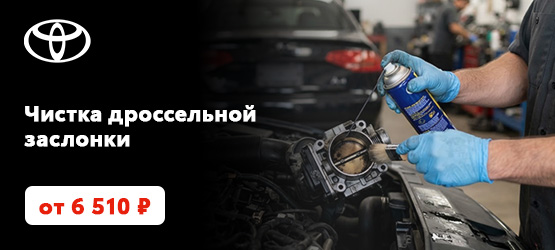 Чистка дроссельной заслонки за 6 510 руб