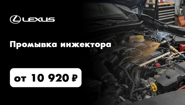 Промывка инжектора от 10 920 руб