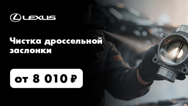Чистка дроссельной заслонки за 8 010 руб