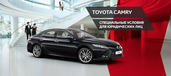Специальные условия для юридических лиц